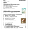 Afrikaans Huistaal Gr. 10 Assesseringstaak 2023 Kwartaal 4 Vraestel 2 - Image 4