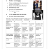 English FAL Gr. 5 Assessment Task 2023 Term 4 - Image 4