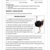 English FAL Gr. 5 Assessment Task 2023 Term 4 - Image 5