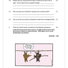 English Home Language Gr. 5 Assessment Task 2023 Term 4 - Image 5