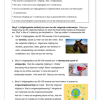 Afrikaans Huistaal Gr. 5 Assesseringstaak 2023 Kwartaal 4 - Image 3