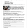 Afrikaans Huistaal Gr. 6 Assesseringstaak 2023 Kwartaal 4 - Image 3