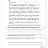 Lewensvaardighede (PSW) Gr. 4 Assesseringstaak 2023 Kwartaal 4 - Image 3