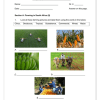 Social Sciences Geography Gr. 4 Assessment Task 2023 Term 4 - Image 2