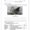 Social Sciences History Gr. 4 Assessment Task 2023 Term 4 - Image 2