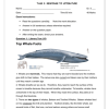 English Home Language Gr. 5 Assessment Task 2024 Term 1 - Image 4