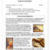 English Home Language Gr. 5 Baseline assessment 2024 Term 1 - Image 2