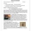 English Home Language Gr. 6 Baseline assessment 2024 Term 1 - Image 5
