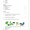 Natuurwetenskap Assesseringstaak Gr. 8 2024 Kwartaal 1 - Image 2