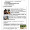 Afrikaans EAT Gr. 7 Assesseringstaak 2024 Kwartaal 2 - Image 3