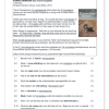 Afrikaans Huistaal Gr. 10 Assesseringstaak 2024 Kwartaal 1 - Image 2