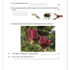Natuurwetenskap Assesseringstaak Gr. 7 2024 Kwartaal 1 - Image 3