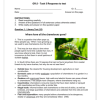 English FAL Gr. 5 Assessment Task 2024 Term 2 - Image 3