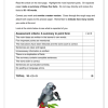 English Home Language Gr. 5 Assessment Task 2024 Term 2 - Image 4