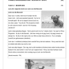 Afrikaans AAT Gr. 5 Assesseringstaak 2024 Kwartaal 2 Alternatiewe Assessering - Image 3