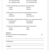 Natural Sciences and Technology Gr. 5 Assessment Task 2024 Term 2 - Image 2