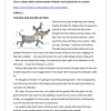 English Home Language Gr. 5 Assessment Task 2024 Term 3 - Image 2