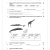 Mathematics Gr. 5 Assessment Task 2024 Term 3 - Image 3