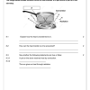 Natural Sciences Gr. 7 Assessment Task 2024 Term 3 - Image 3