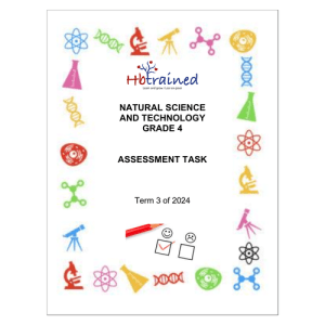 Natural Sciences and Technology Gr. 4 Assessment Task 2024 Term 3