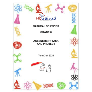 Natural Sciences and Technology Gr. 6 Assessment Task 2024 Term 3