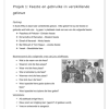 Lewensvaardighede (PSW) Gr. 5 Assesseringstaak 2024 Kwartaal 3 - Image 2