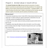 Life Skills (PSW) Gr. 6 Assessment Task 2024 Term 3 - Image 2