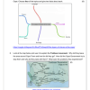 Social Sciences History Gr. 7 Assessment Task 2024 Term 3 - Image 3