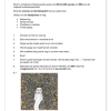 Afrikaans EAT Gr. 11 Assesseringstaak 2024 Kwartaal 3 - Image 2