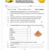 Social Sciences Geography Gr. 4 Assessment Task 2024 Term 3 - Image 2