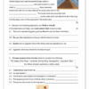 Social Sciences History Gr. 5 Assessment Task 2024 Term 3 - Image 3