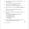 Afrikaans EAT Gr. 8 Assesseringstaak 2024 Kwartaal 4 - Image 3