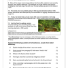 English FAL Gr. 8 Assessment Task 2024 Term 4 - Image 3