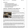English Home Language Gr. 8 Assessment Task 2024 Term 4 - Image 2