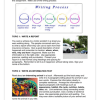 English Home Language Gr. 5 Assessment Task 2024 Term 4 - Image 4