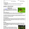English Home Language Gr. 5 Assessment Task 2024 Term 4 - Image 5