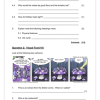 English Home Language Gr. 5 Assessment Task 2024 Term 4 - Image 2