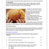 English Home Language Gr. 7 Assessment Task 2024 Term 4 - Image 4