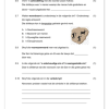 Afrikaans Huistaal Gr. 5 Assesseringstaak 2025 Kwartaal 1 - Image 4