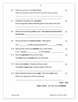 English FAL Gr. 4 Assessment Task 2025 Term 1 – HB Trained
