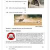 English FAL Gr. 7 Baseline Assessment 2025 Term 1 - Image 5