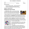 English Home Language Gr. 5 Assessment Task 2025 Term 1 - Image 5