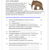 English Home Language Gr. 5 Baseline Assessment 2025 Term 1 - Image 4