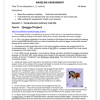 English Home Language Gr. 7 Baseline Assessment 2025 Term 1 - Image 4