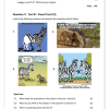 English Home Language Gr. 7 Baseline Assessment 2025 Term 1 - Image 2