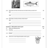 Natural Sciences and Technology Gr. 4 Assessment Task 2025 Term 1 - Image 2