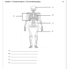 Natural Sciences and Technology Gr. 5 Assessment Task 2025 Term 1 - Image 2