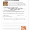 Social Sciences History Gr. 5 Assessment Task 2025 Term 1 - Image 3