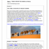Social Sciences History Gr. 7 Assessment Task 2025 Term 1 - Image 2