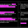 PowerPoint: Die beantwoording van die opsomming - Image 4